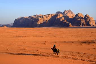 Wadi Rum / Camel Driver
